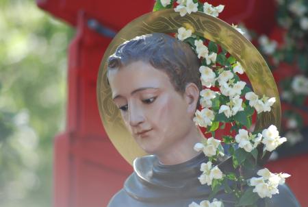 Imagen Romerìa de San Pascual Bailòn